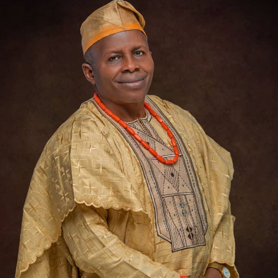 Dr. Enikuomehin Segun Amudoye